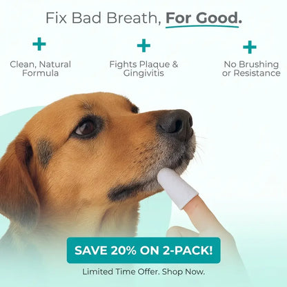 DentaPaw Wipes Finger Sleeves