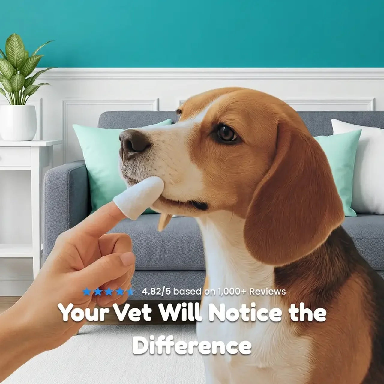 DentaPaw Wipes Finger Sleeves