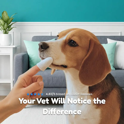 DentaPaw Wipes Finger Sleeves